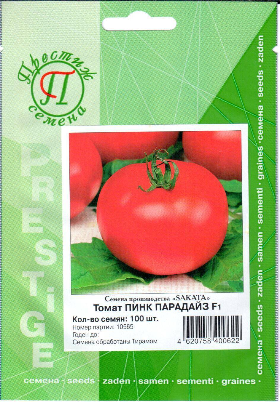 Описание и характеристики томата сорта Пинк Парадайз F1, урожайность и выращивание