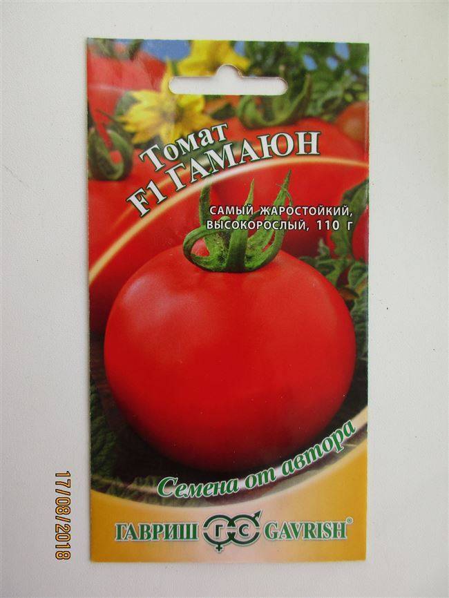 Описание томата Гамаюн, урожайность и потребительские свойства