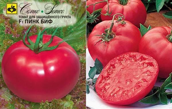 Мясистый гигант с восхитительным вкусом — за что садоводы любят помидоры сорта «биг биф»