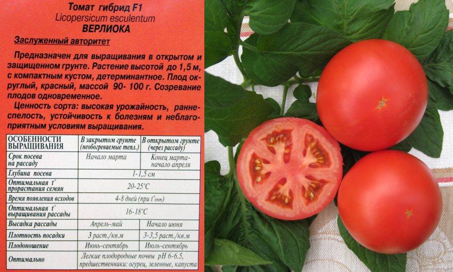 Описание сорта томата суперприз и его характеристика – дачные дела