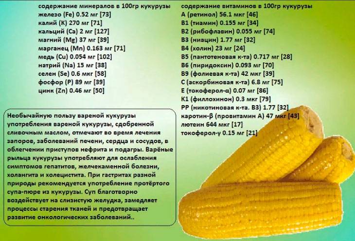Початок для здоровья: полезные и вредные свойства кукурузы