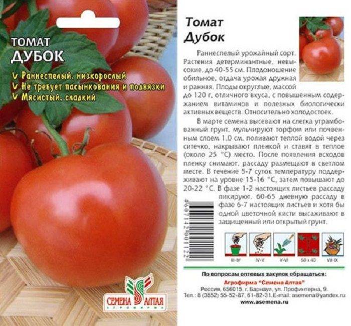 Лучшие сорта томатов для северо-запада с описанием и характеристиками