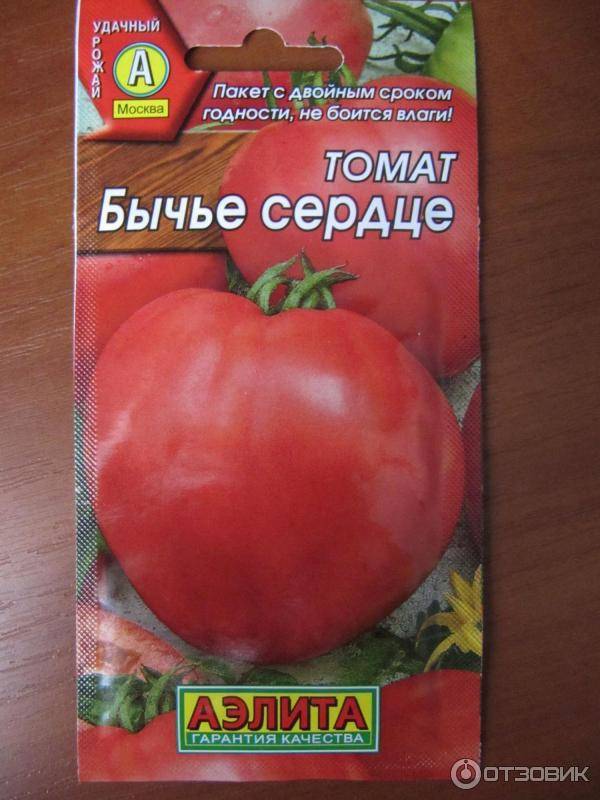 Бычье сердце томат