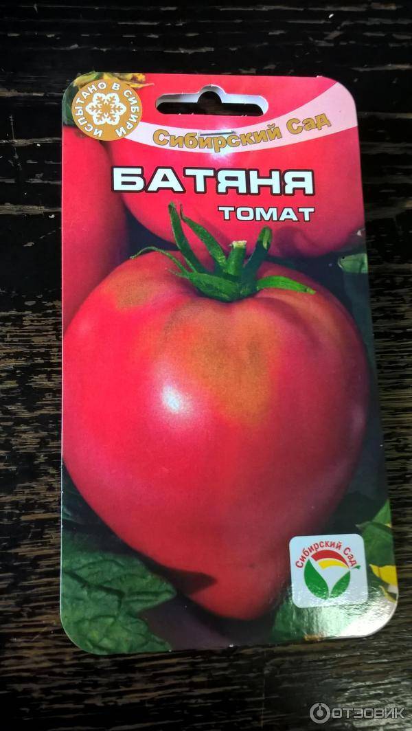 Классический сердцевидный розовый томат «батяня»: отзывы и фото полученного урожая помидоров