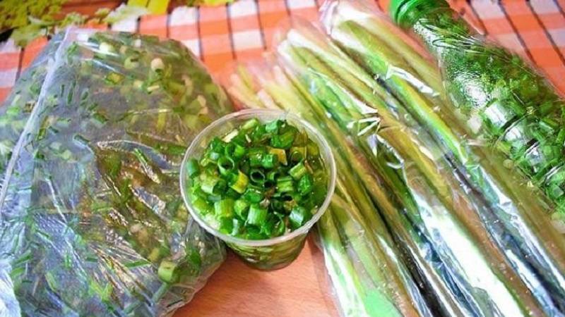 Как сохранить зеленый лук на зиму — 4 проверенных способа 3 новых рецепта