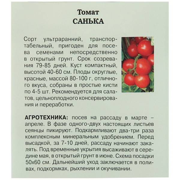 Томат санька: характеристика и описание сорта, выращивание и уход