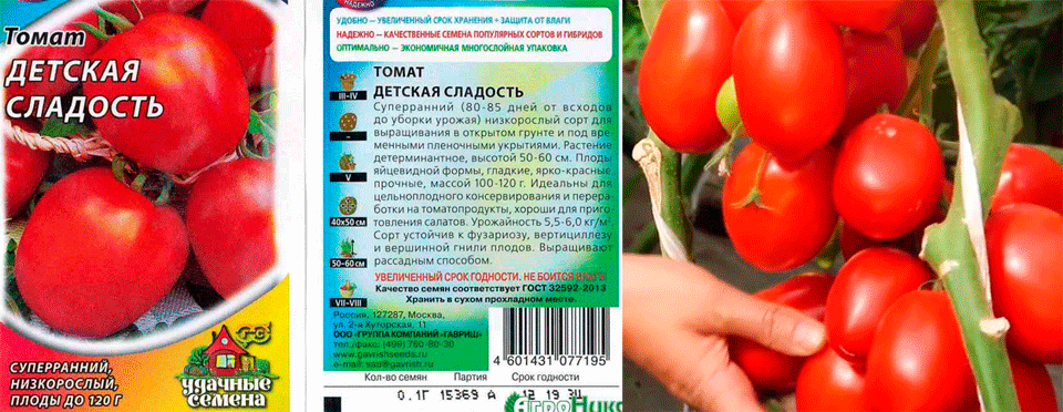 Низкорослые помидоры для открытого грунта