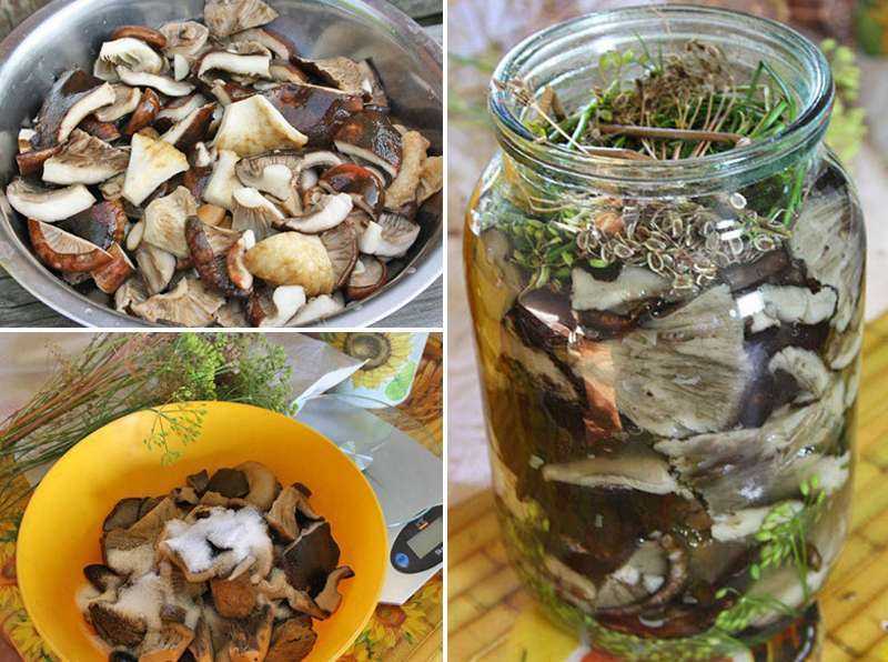Солёные грибы - универсальный рецепт - заготовки на зиму лучшие рецепты