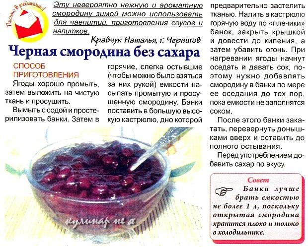 Красная смородина на зиму: 16 лучших рецептов приготовления, хранение заготовок
