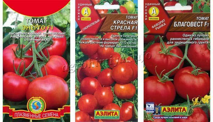 Томат энерго f1: характеристика и описание сорта семян агросемтомс, отзывы об урожайности помидоров, фото куста в высоту