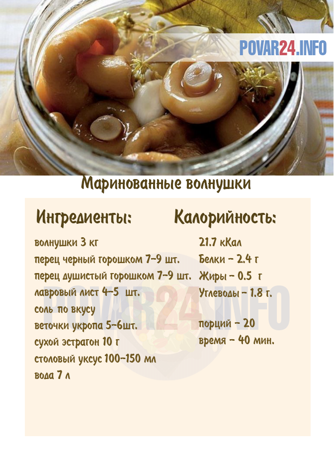 Соленые грибы в банках: бесподобные рецепты с фото