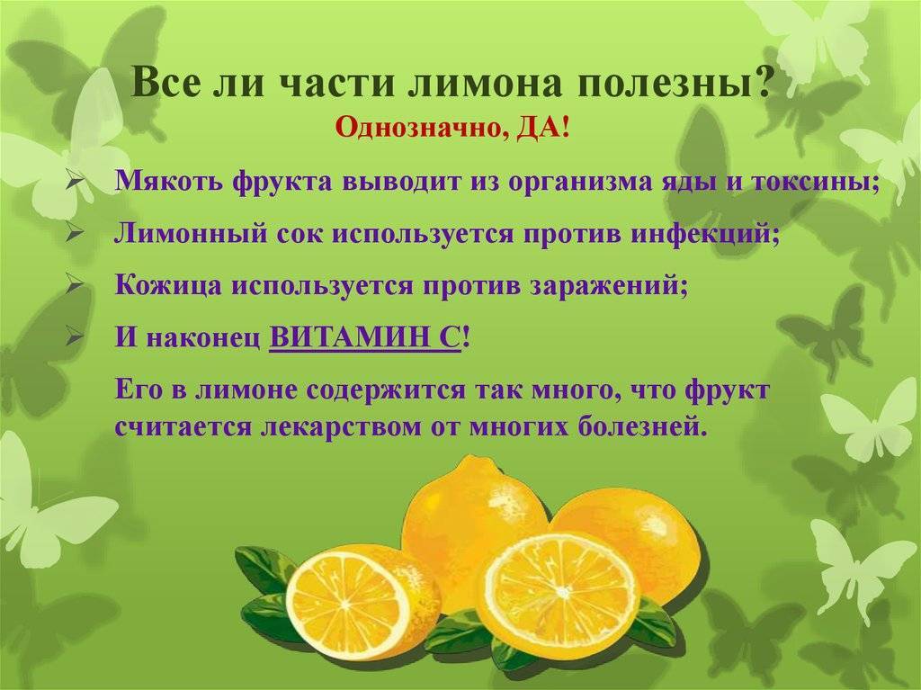 Лимон — все полезные свойства для здоровья и противопоказания