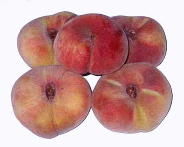 Персик никитский плоский описание сорта. инжирный персик - выращивание, польза и вред для организма