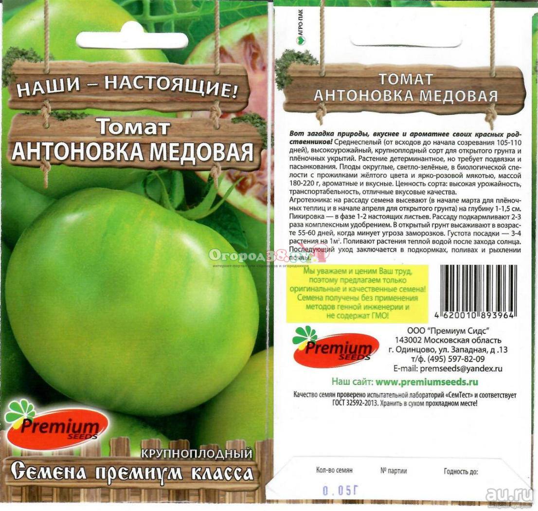 Характеристики и описание зеленого томата Антоновка медовая, выращивание и уход