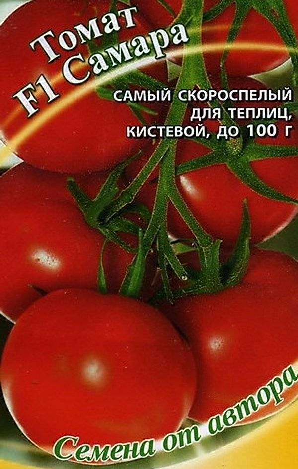 Лучшие сорта томатов для открытого грунта - фото, названия и описания (каталог)