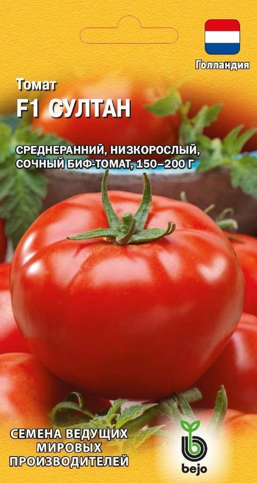 Сорт из голландии — томат султан f1: отзывы об урожайности, описание помидоров и характеристики