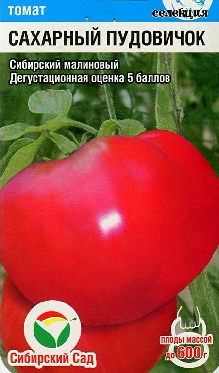 Томаты "пудовичок сахарный": описание и характеристики сорта, уход за помидорами и фото русский фермер