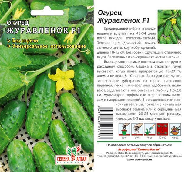 Огурец беттина f1: описание, отзывы, фото, характеристика сорта, урожайность