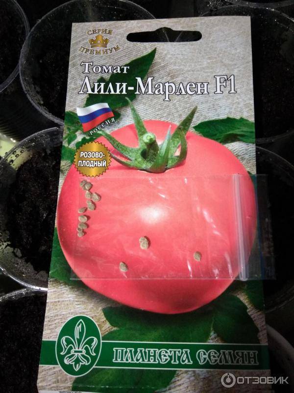 Описание сорта томата лили марлен и его характеристики