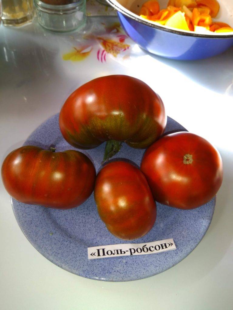 Лучшие сорта черных томатов с фото и описанием
