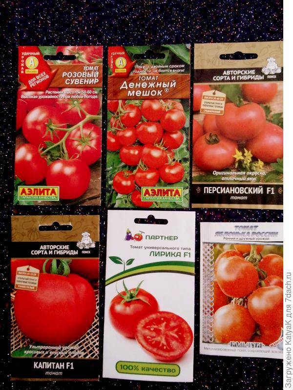 Описание томата Кумир, культивирование и выращивание сорта