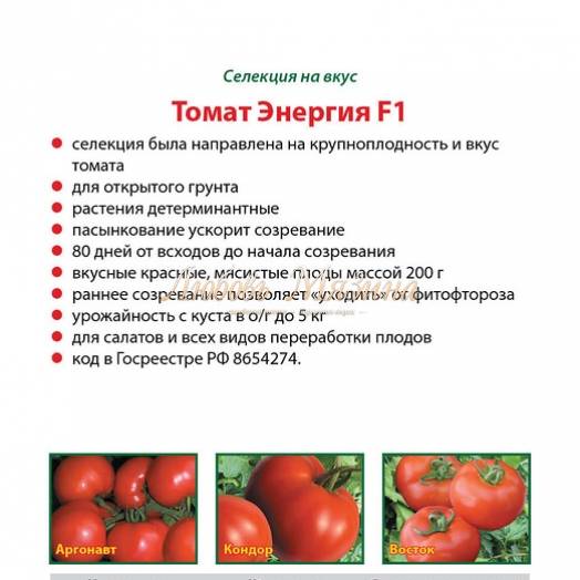 Сорт помидор красный петух