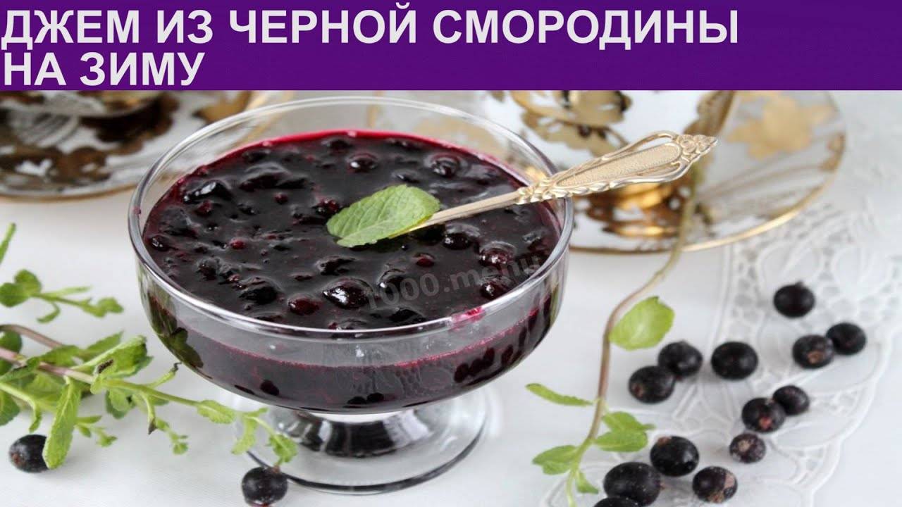 9 простых рецептов приготовления желе из ягод черной смородины на зиму