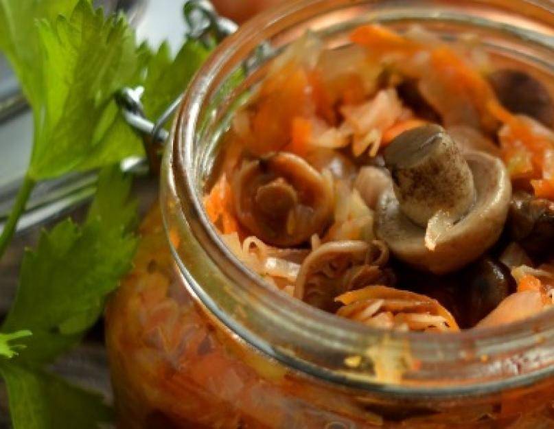 Солянка с грибами - 6 рецептов, как приготовить в домашних условиях, на зиму