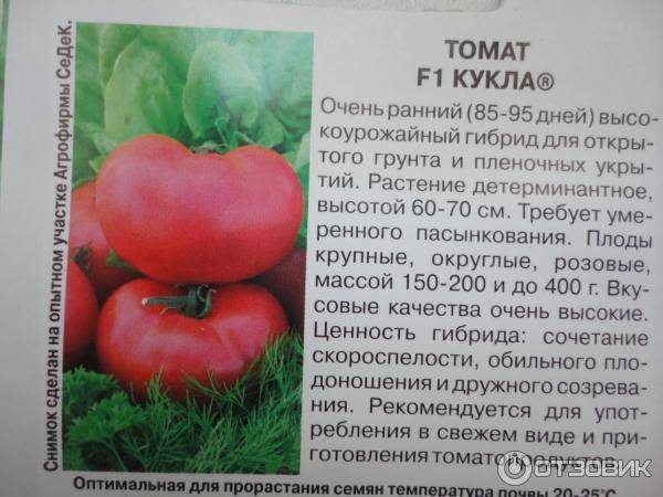 Лучший сорт для консервирования — описание и характеристики гибридного томата «каспар»