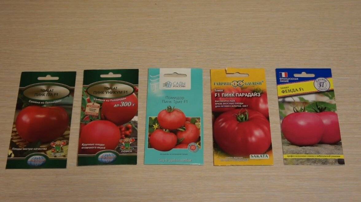Сорт помидоров  томат пинк уникум f1