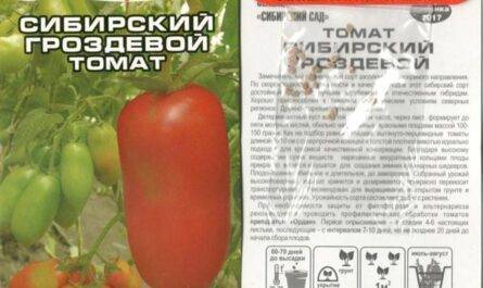 Томат гроздевой: описание, отзывы (18), фото, характеристика | tomatland.ru