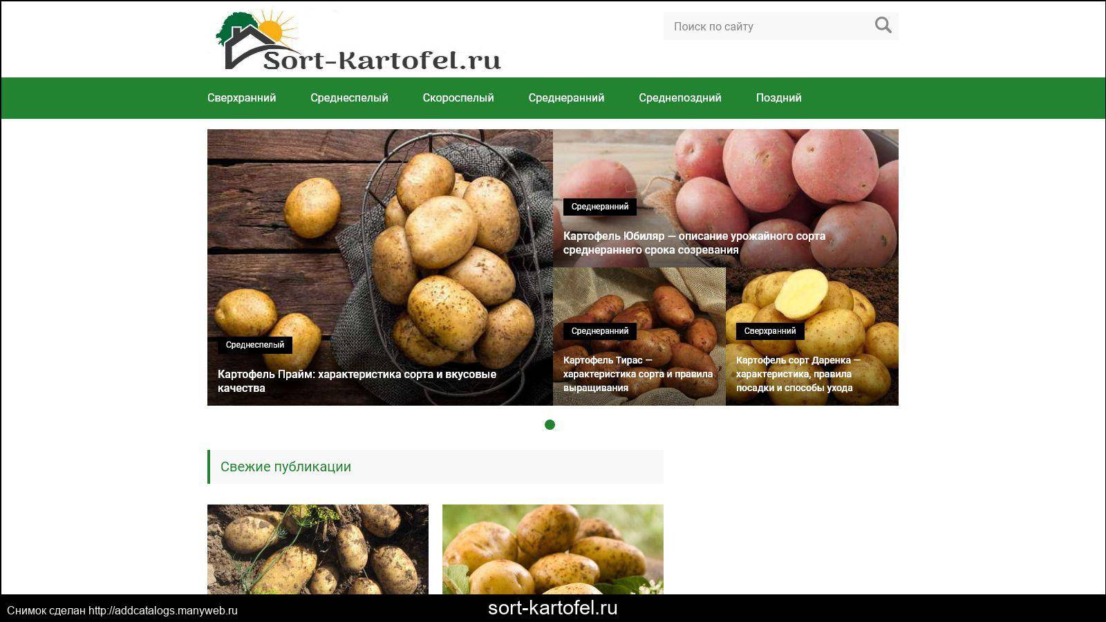 Картофель розара: описание сорта, фото, правила посадка, выращивания и ухода за клубнем