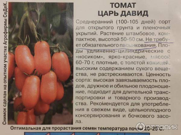 Купить томат купец-молодец (раннеспел., 90-110 см..300-400гр,) а в интернет магазине удачный сад