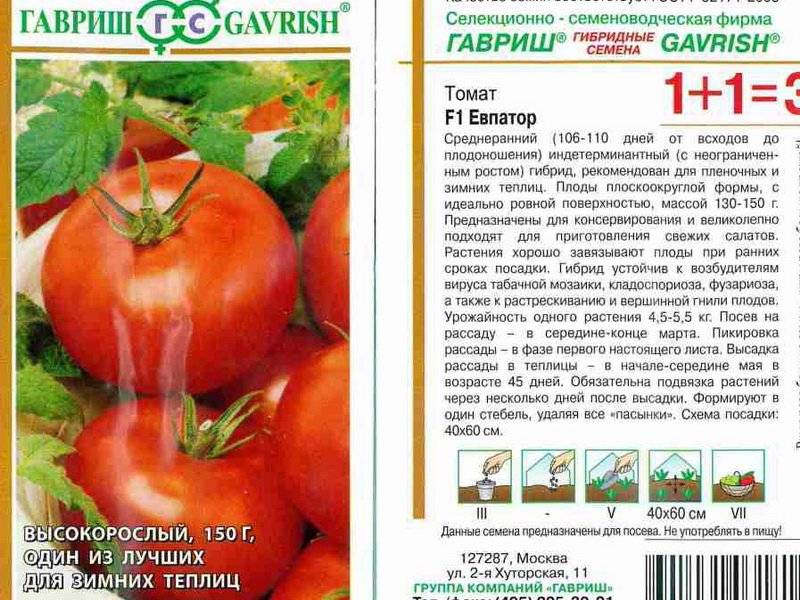 Подробное описание сорта томат «агата»